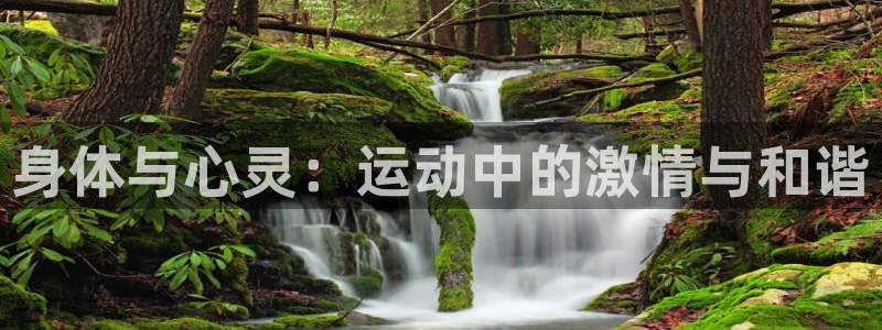 oety欧亿体育官网下载招商电话号码查询:身体与心灵:运动中